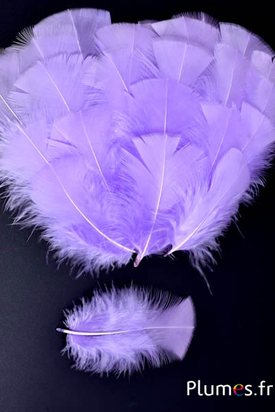 Dinde - 6-8 cm - lilas
